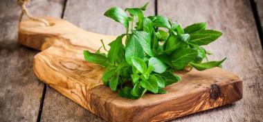 Obat Herbal Tergerus Zaman