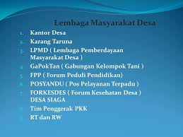 Fungsi dan Peran Lembaga Desa untuk Masyarakat