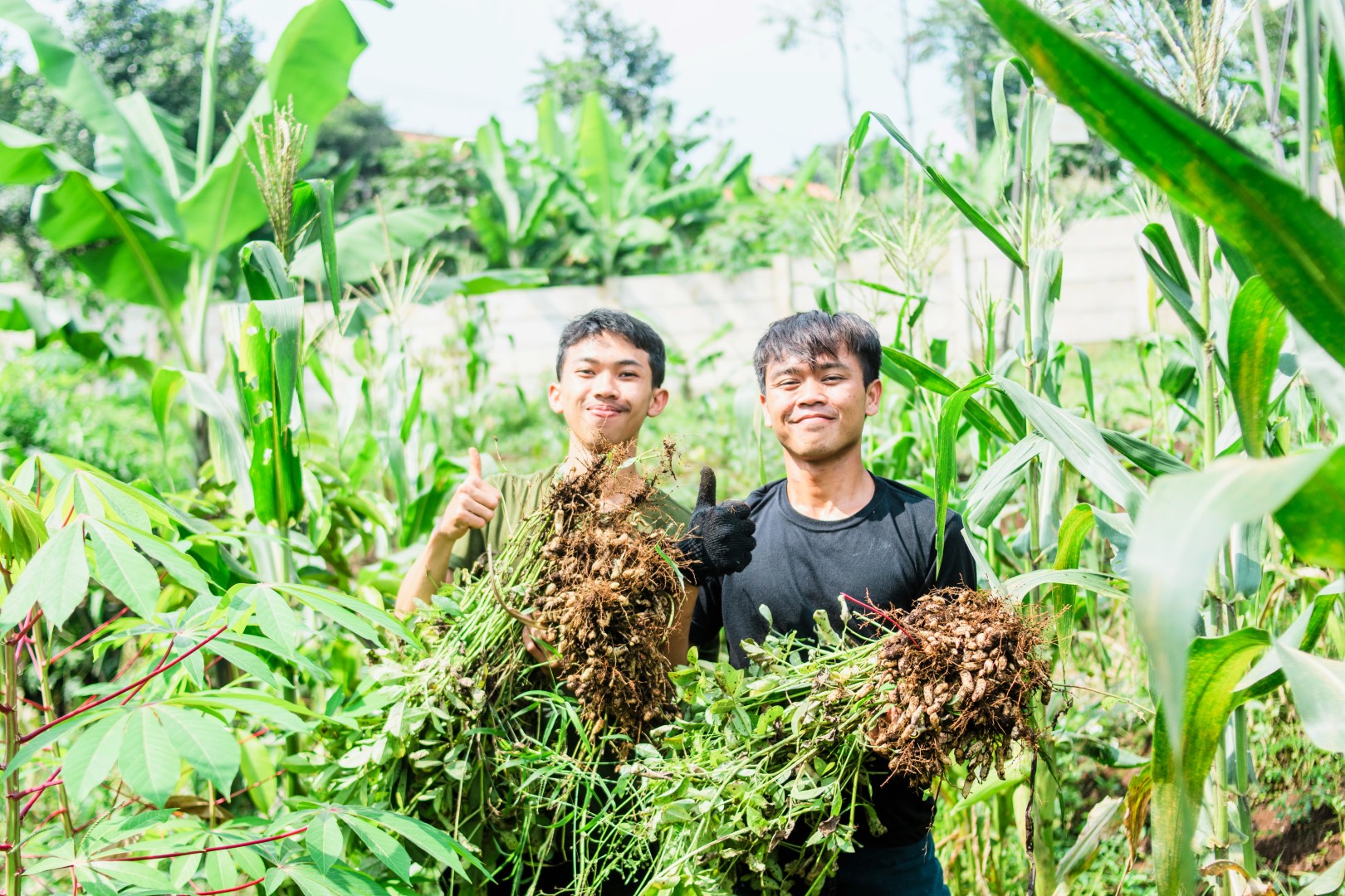 Agribisnis Modern: Strategi Supply Chain untuk Ketahanan Pangan