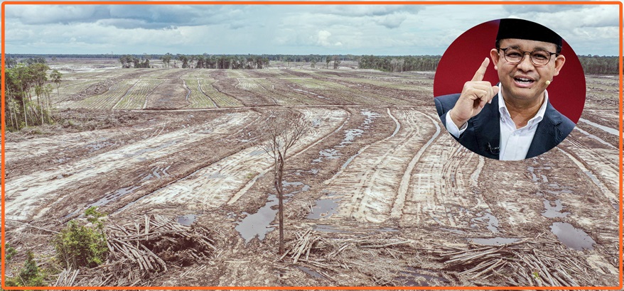 Ide Cemerlang Anies Baswaden dengan Konsep Contract Farmingnya Gantikan Food Estate