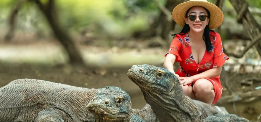 Tak Perlu Bingung Liburan, Komodo Island Tour From Lombok Punya Semua yang Anda Cari